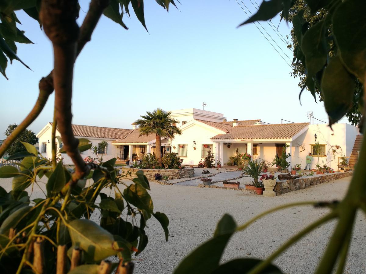 Hotel Casa Fina - Adults Recommended كونيل ذي لا فرونتيرا المظهر الخارجي الصورة